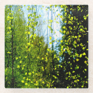 Summer curtain glass coaster
