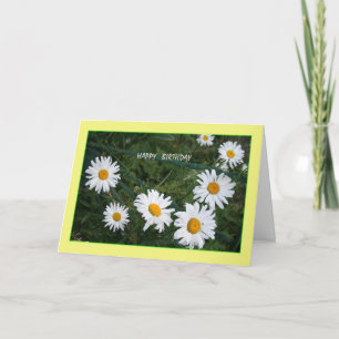 Summer Daisies Birthday Card
