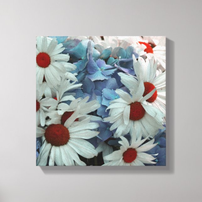 Summer Daisies Canvas Print (Front)