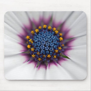 Summer Daisy Close Up Mouse Mat