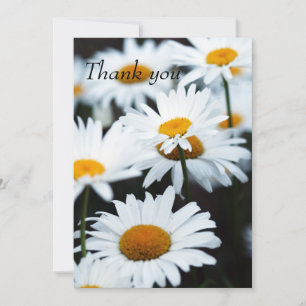 Summer Daisy Flat Thank You Card