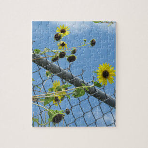 Summer Daisy Jigsaw Puzzle