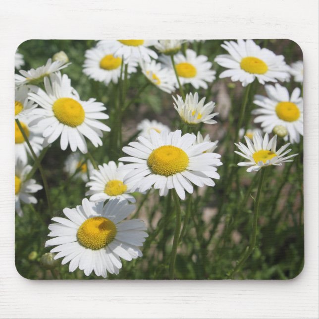 Summer daisy mousepad (Front)