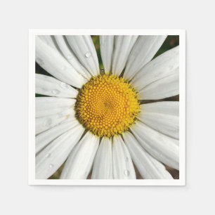 Summer Daisy Paper Napkins