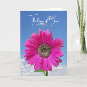Summer Daisy Pink Thinking Of You Card