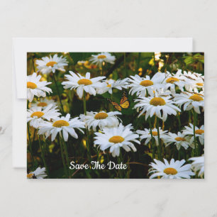 Summer Daisy Save The Date Invitation