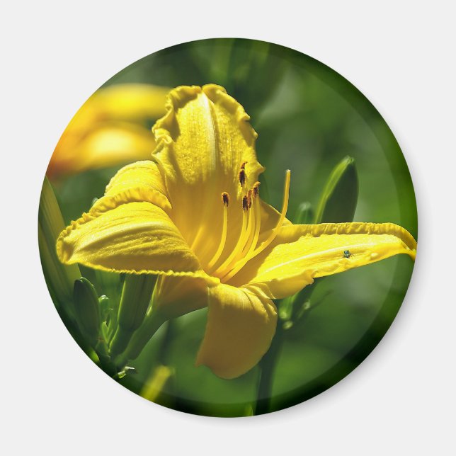 Summer Day Magnet (Front)