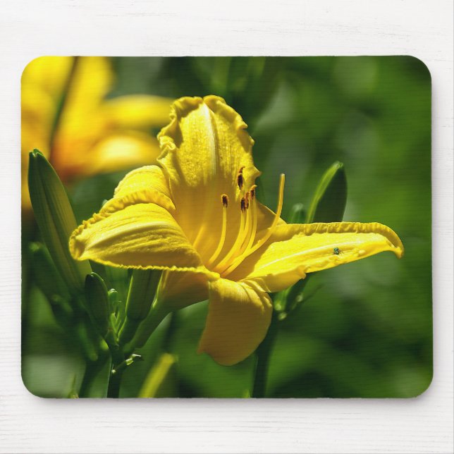 Summer Day Mouse Mat (Front)