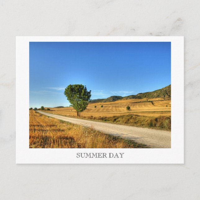 Summer Day Postcard (Front)