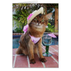 Summer Days Featuring Summer the Cat