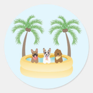 Summer Dogs Swimming Pool Classic Round Sticker