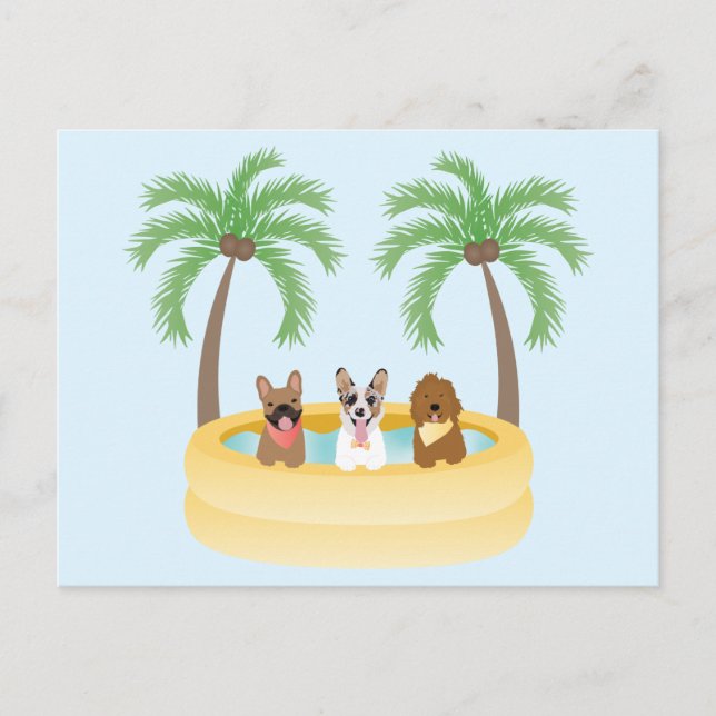 Summer Dogs Swimming Pool Postcard (Front)