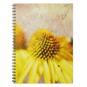 Summer Echinacea Flowers Notebook