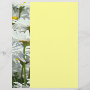 Summer Events Flyers Parties Daisy Flowers Floral