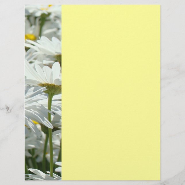 Summer Events Flyers Parties Daisy Flowers Floral (Front)