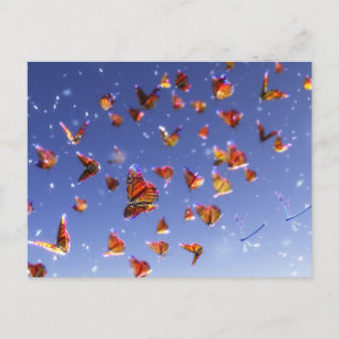 Summer Fantasia Postcard