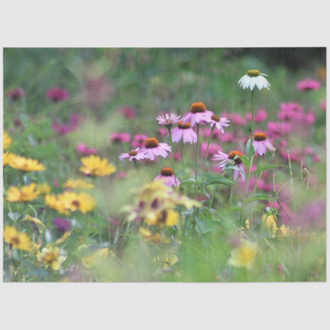 Summer Field of Coneflowers Tissue Paper (Front)