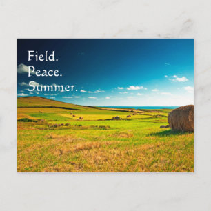 Summer Field Postcard