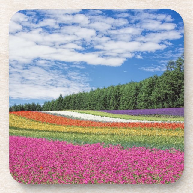 Summer Field Rows of Flowers Coaster (Front)