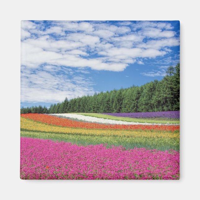 Summer Field Rows of Flowers Magnet (Front)