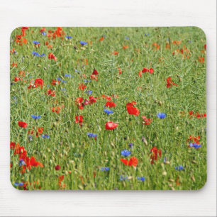 Summer field with red and blue flowers mouse mat