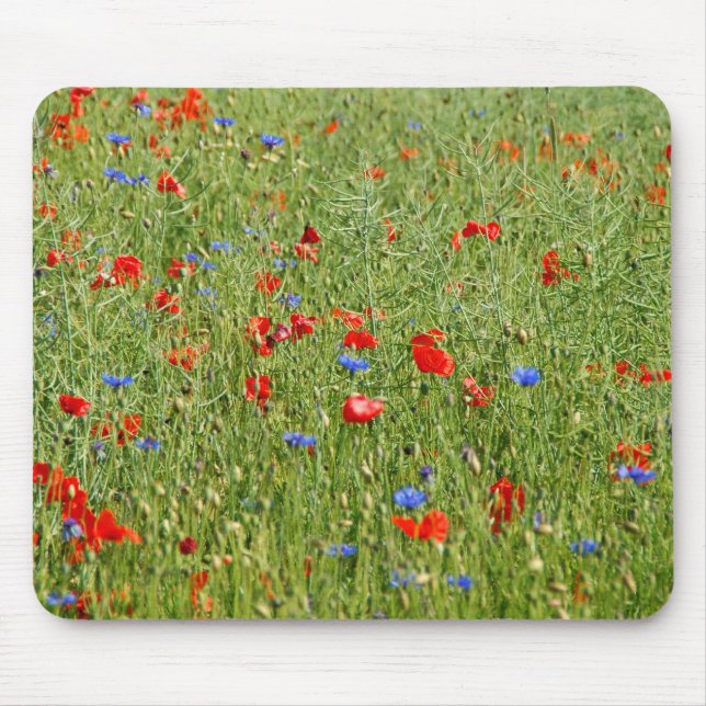 Summer field with red and blue flowers mouse mat (Front)