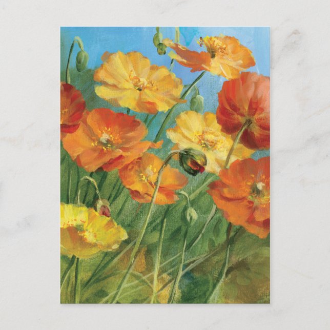 Summer Floral Field Postcard (Front)