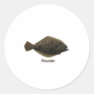Summer Flounder (titled) Classic Round Sticker