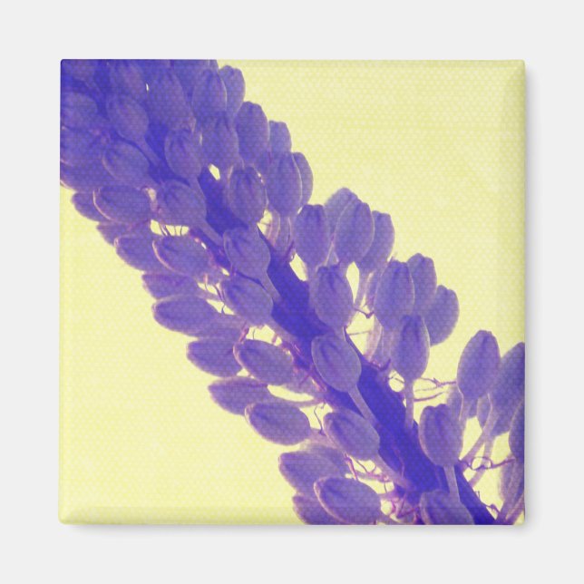 Summer Flower Art - Magnet (Front)