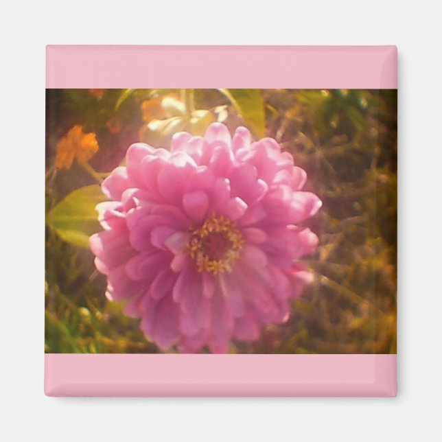 Summer Flower Carnation Magnet (Front)
