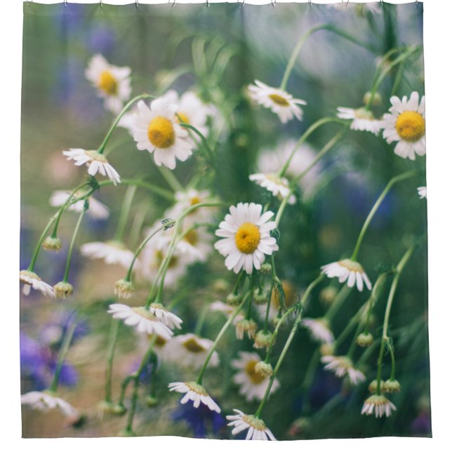 Summer flower pattern in green meadow with blue an shower curtain (Front)