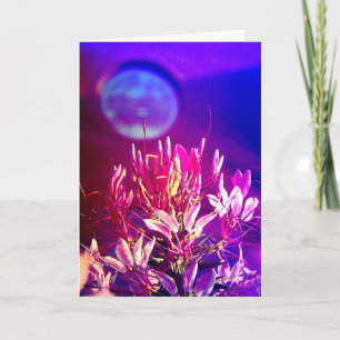 Summer Flowers Card