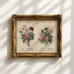 Summer Flowers   Charlotte Mary Yonge Poster