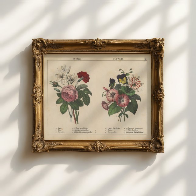 Summer Flowers | Charlotte Mary Yonge Poster (Creator Uploaded)