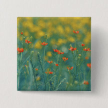 Summer Flowers (Floral Field) (Red Flowers)