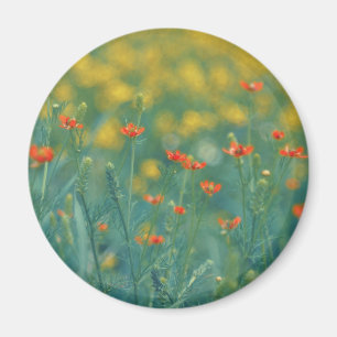 Summer Flowers (Floral Field) (Red Flowers) Magnet