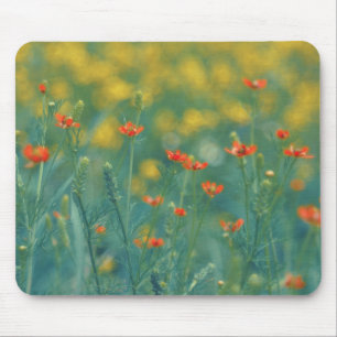 Summer Flowers (Floral Field) (Red Flowers) Mouse Mat