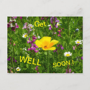 Summer Flowers Get Well Soon Postcard