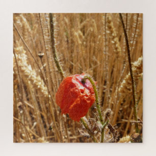 Summer flowers in ripe wheat field jigsaw puzzle