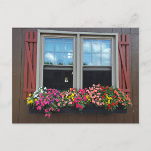 Summer flowers postcard