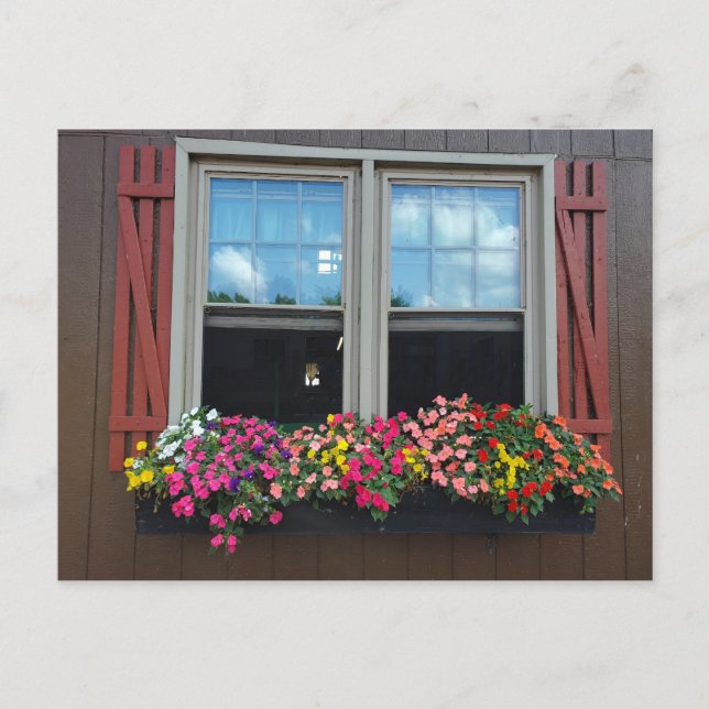 Summer flowers postcard (Front)