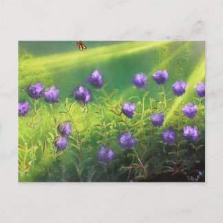 Summer Flowers Postcard