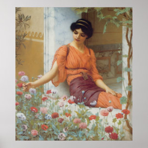 Summer Flowers Poster