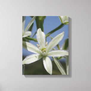 Summer Flowers Wrapped Canvas