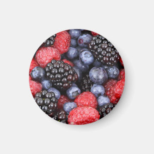 Summer Fruits Photo Magnet