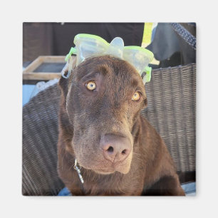 Summer Fun Lab Puppy Magnet