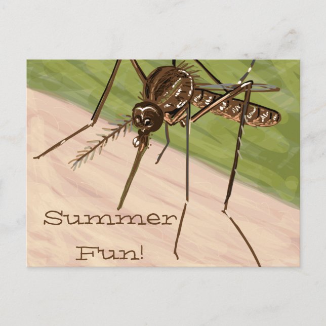 "Summer Fun!" Mosquito Art Postcard (Front)