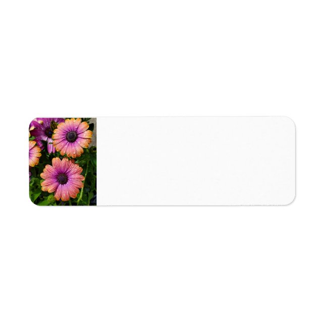 Summer Garden address labels (Front)