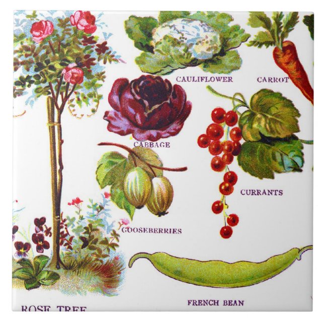 Summer Garden Botanicals Tile (Front)