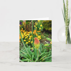 Summer Garden Card
